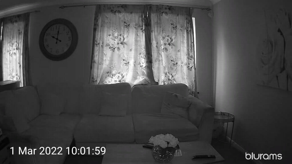 Blurams PTZ Dome Security Camera 2K A31 infrared photo daytime