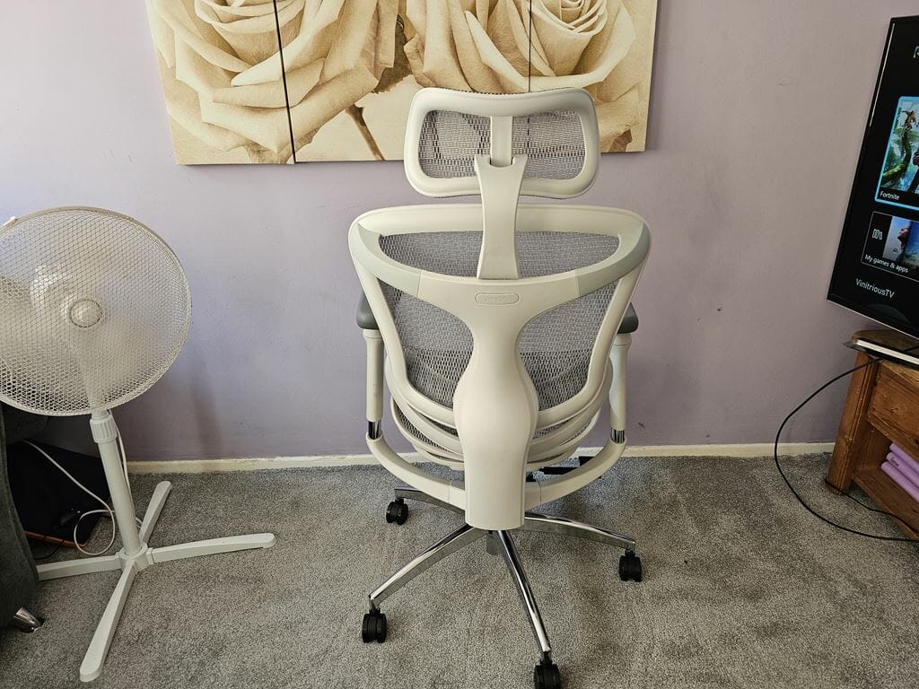 SIHOO DORO-C300 Ergonomic Chair back