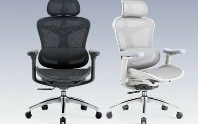 Reviews 5 SIHOO Doro-C300 Ergonomic Office Chair Review