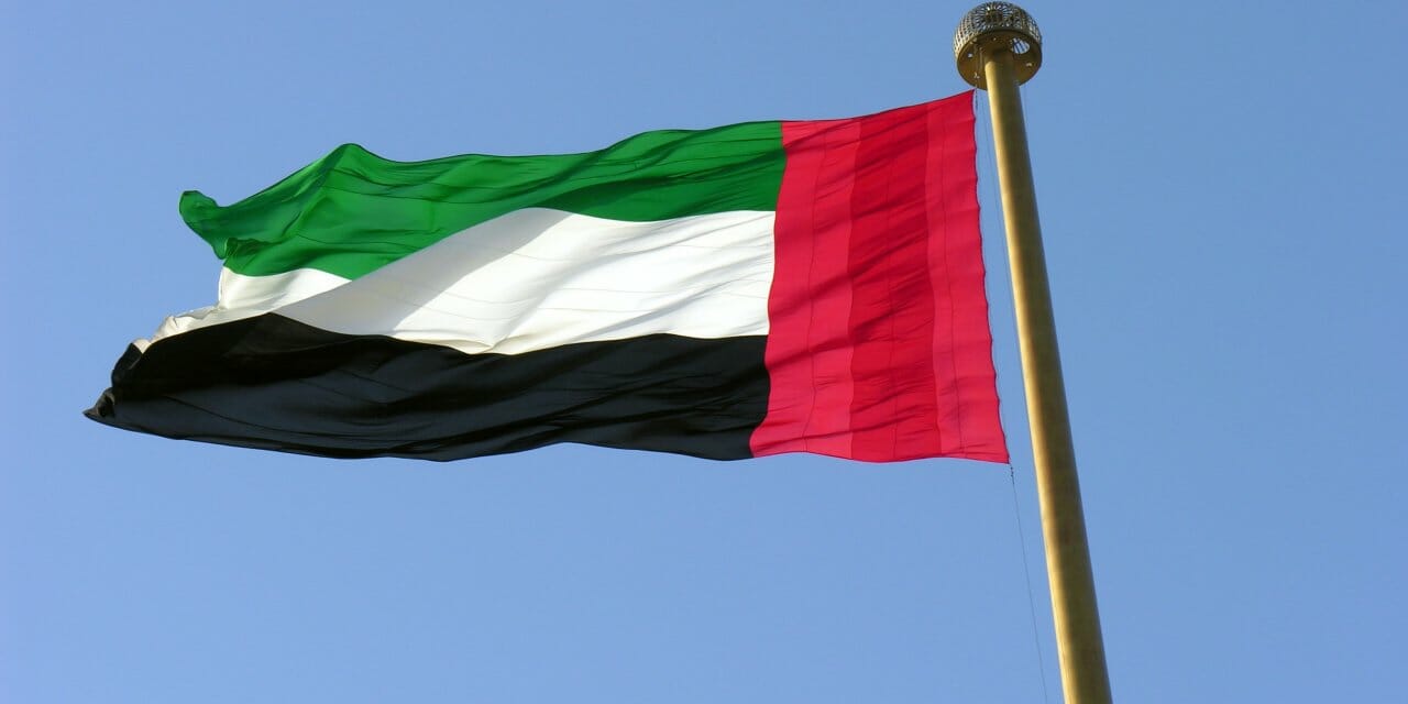 What are the relevant activities for ESR in UAE?  