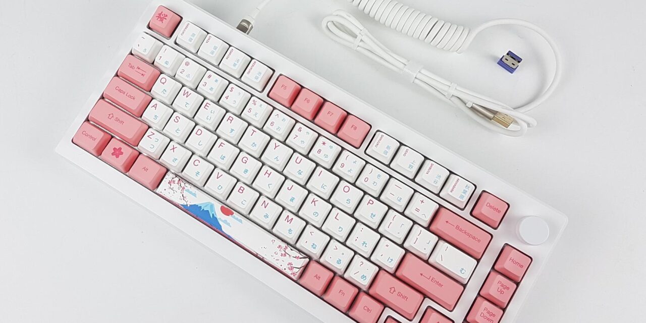 AKKO MOD007B PC HE Tokyo Mechanical Keyboard Review