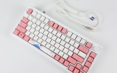 Reviews 6 AKKO MOD007B PC HE Tokyo Mechanical Keyboard Review