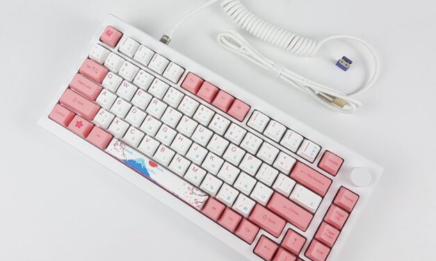 AKKO MOD007B PC HE Tokyo Mechanical Keyboard Review