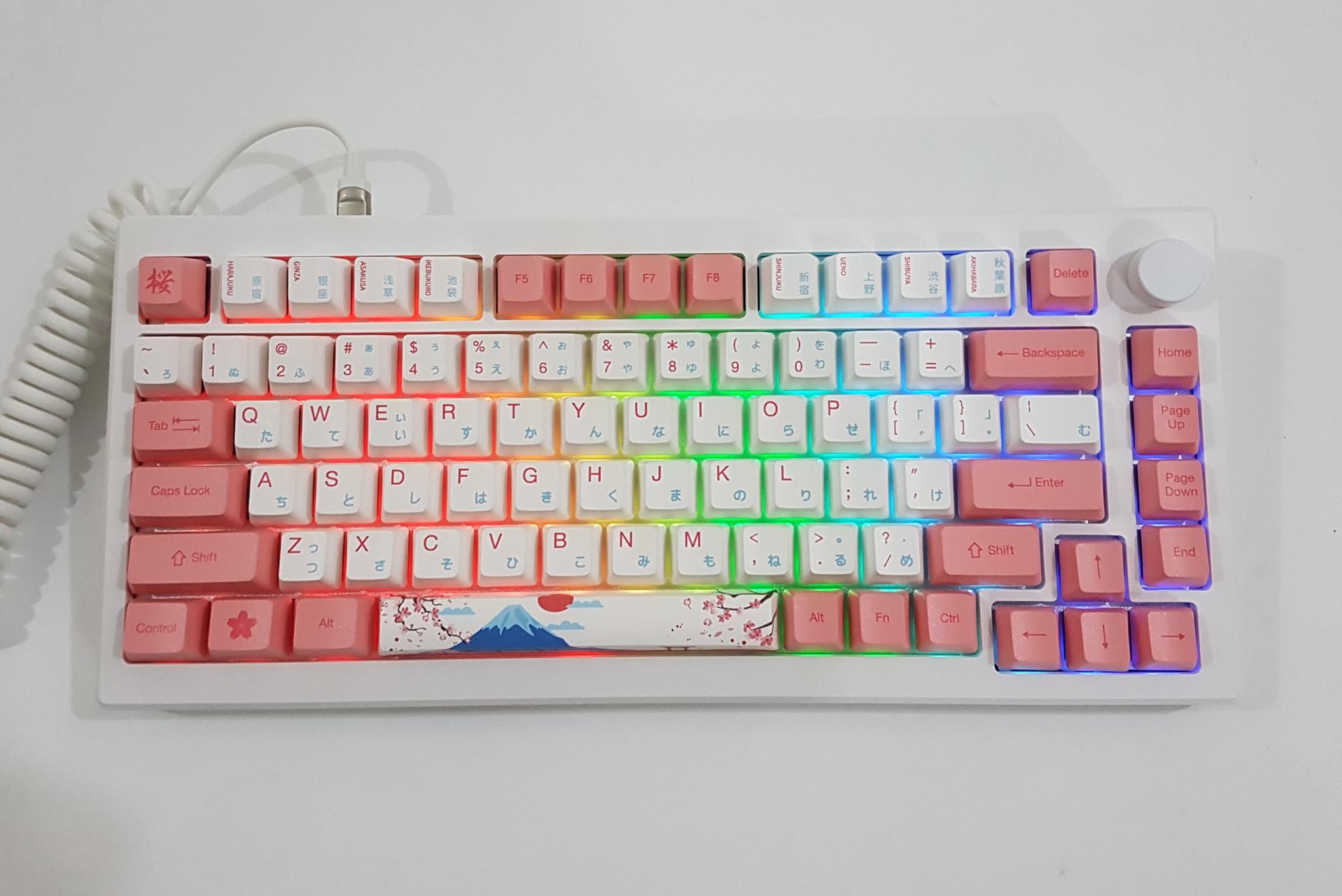 AKKO MOD007B PC HE Tokyo RGB 2