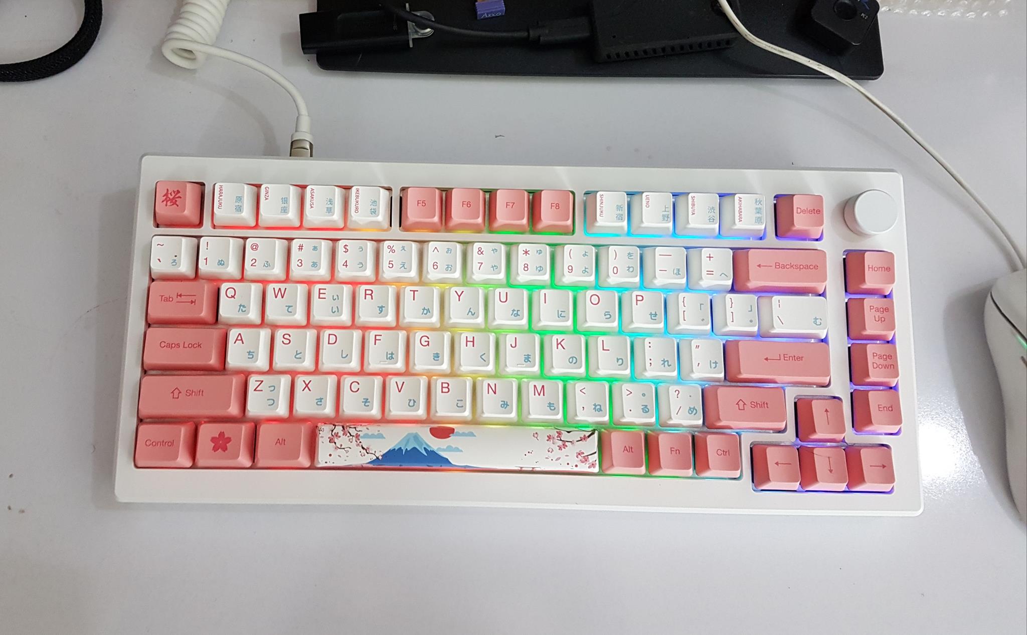 AKKO MOD007B PC HE Tokyo RGB 3