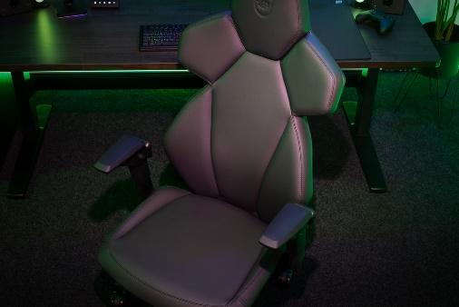 PGG Unveils Cutting-Edge Innovations from 10+ Brands at COMPUTEX2025 15 noblechairs-dawn-2024-11-26-1598.psb