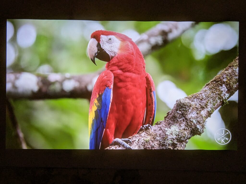 Wanbo Vali 1 review – Affordable 1080p projector with 200° gimbal and premium features 31 PXL 20250422 063454143.MP