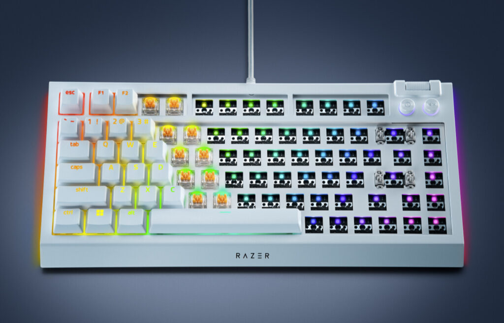 Razer stuns DIY fans with powerful BlackWidow V4 75% Barebones keyboard launch 1 Razer BlackWidows V4 4