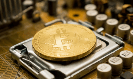 What You Need to Build and Run a Crypto from Scratch