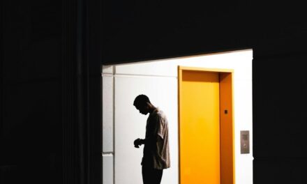 How High-End Lift Support Works for Business Spaces