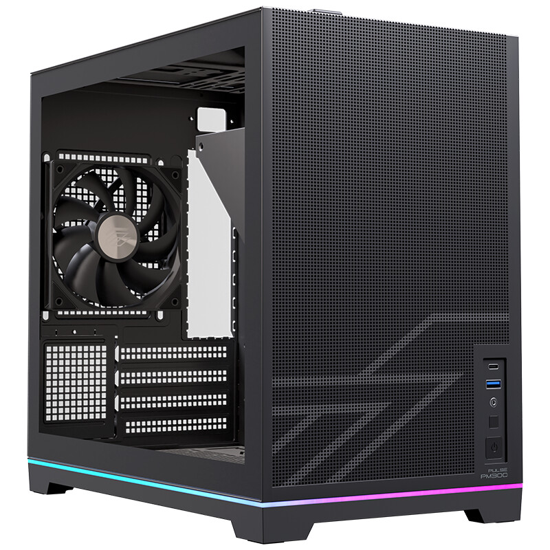 PULSE PM300