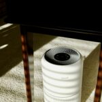 Comparing The Best Air Purifiers for Smoke in 2026