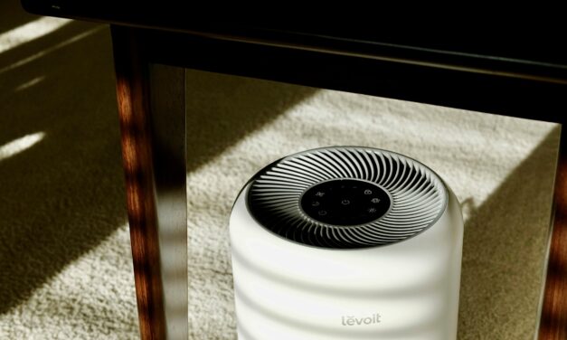 Comparing The Best Air Purifiers for Smoke in 2026