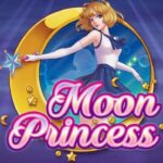 Celestial Hits: The Moon Princess Series by Play’n GO That Keeps Delivering Big Wins